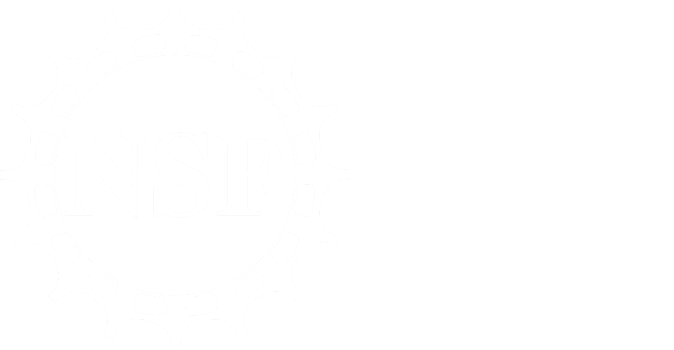 NSF and UChicago Logo