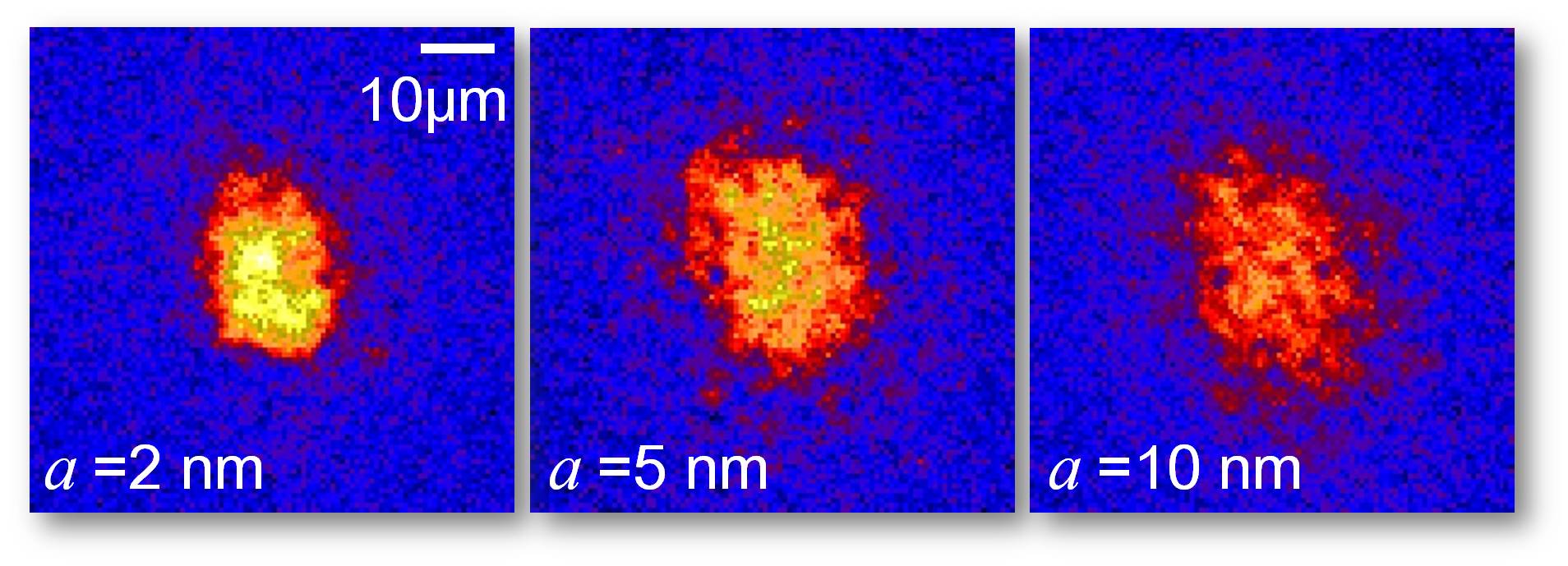 In situ density measurements of trapped 2D gases provide crucial information to test the hypotheses of scale invariance and universality. Sample images at different scattering lengths a are obtained from single shot. Details see arXiv:1009.0016v1.
